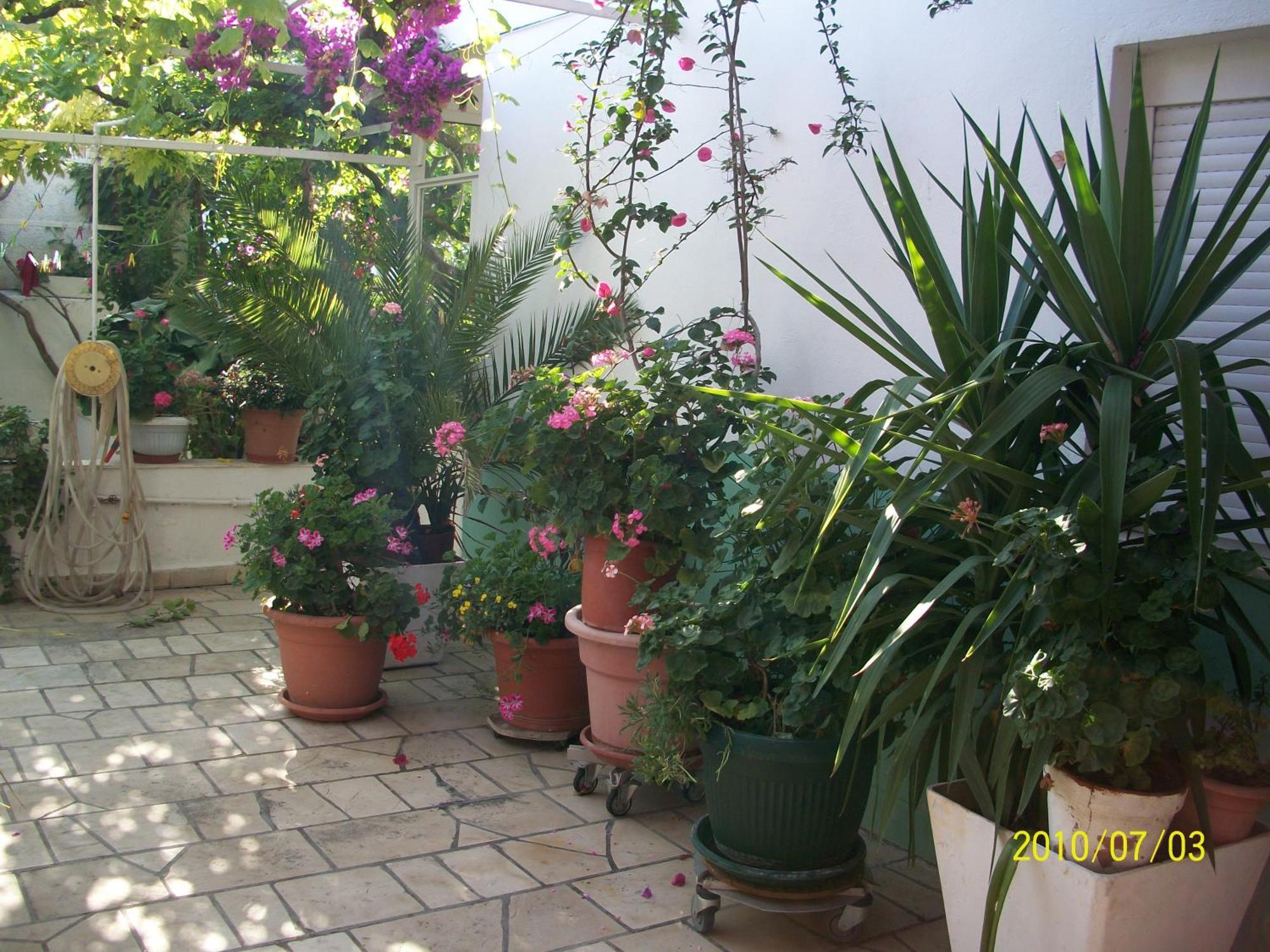 Apartmani Surlin Χβαρ Εξωτερικό φωτογραφία